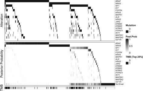 Adaptation Of A Mutual Exclusivity Framework To Identify Driver