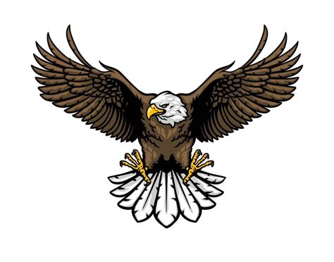 Eagle Flying Illustration Front View 55155280 Vector Art At Vecteezy