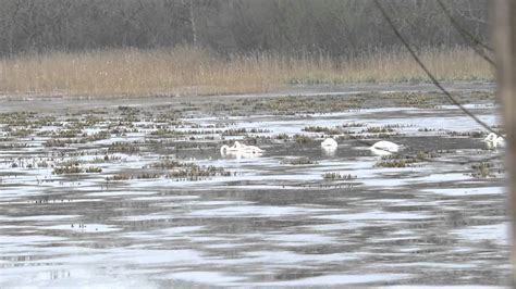 Norfolk S Hidden Gem Thompson Water Youtube