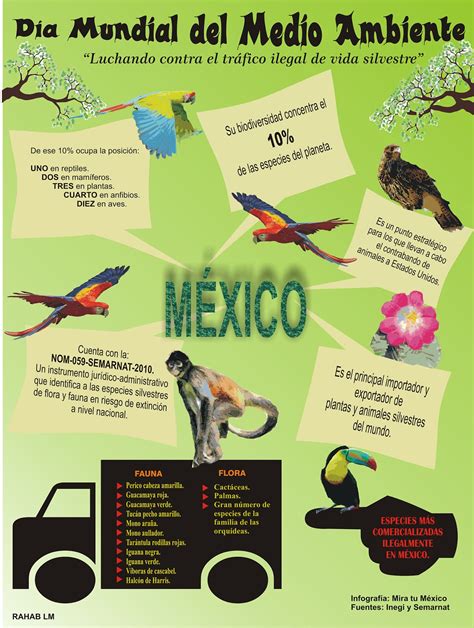 Infografías Mira tu México