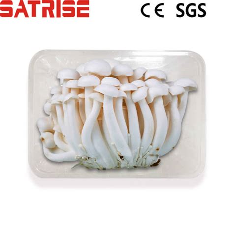 Satrise Plastic Packing Tray For Fresh Mushroom Auxiliary Material