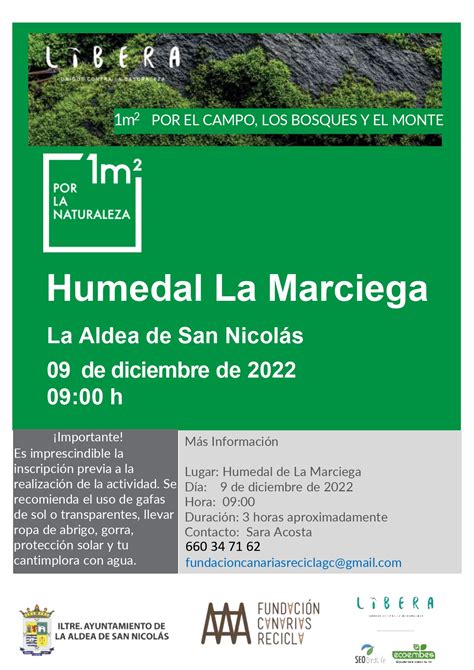 El Ayuntamiento De La Aldea De San Nicol S Invita A La Ciudadan A A