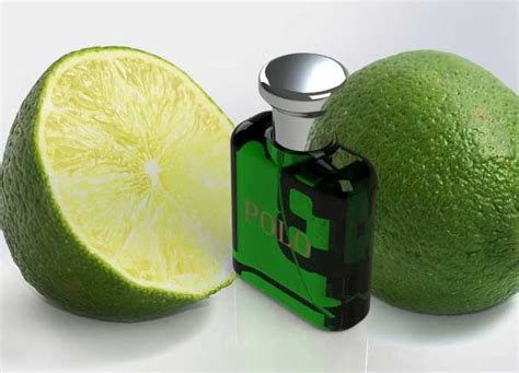 Beginners Guide To Mens Cologne And Fragrance Types