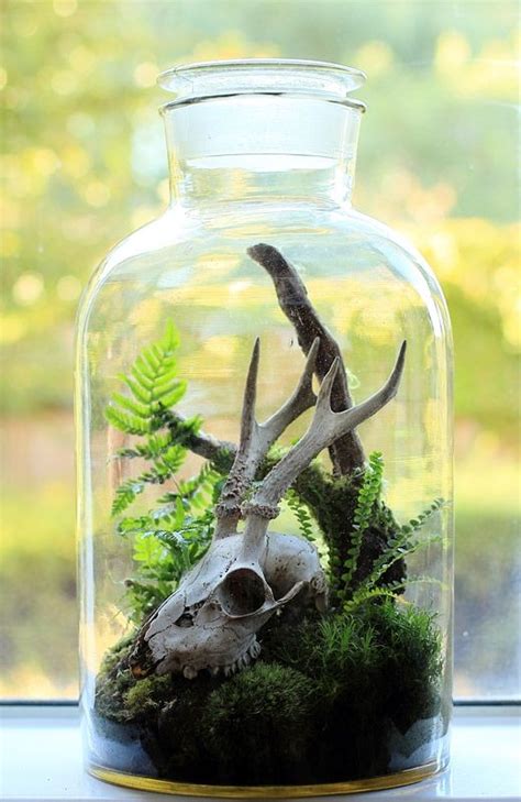 Terrariums Beautiful Enclosed Gardens You Can Build At Home Artofit