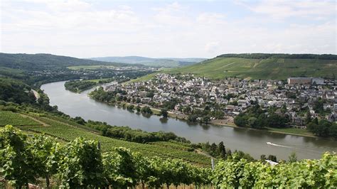 Mosel Weinbau Weinberg Kostenloses Foto Auf Pixabay