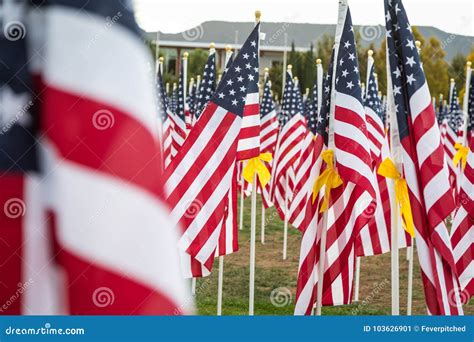 Veterans Day American Flags Waving In The Breeze Stock Image Image