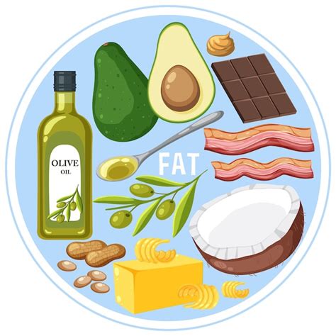 Premium Vector Variety Of Fat Foods