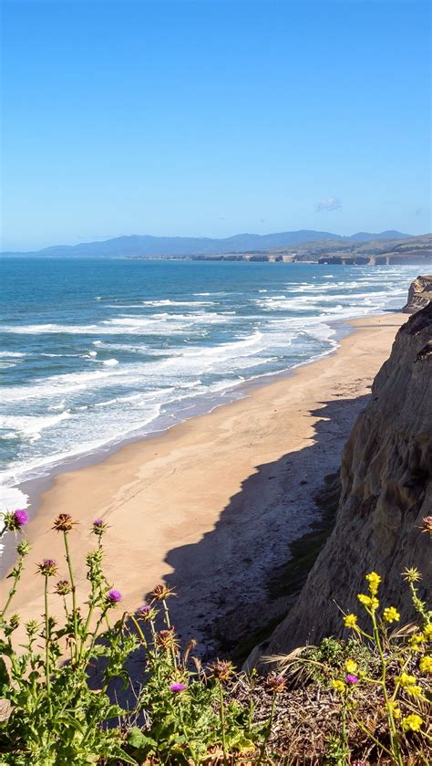 Coast With Yellow Flowers Wallpaper 4k HD ID 11315