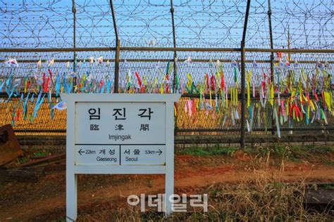 파주 Dmz 평화관광 정상화 수순7월부터 하루 50회까지 네이트 뉴스