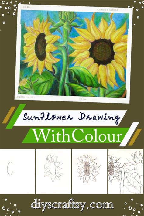 Sunflower Drawing Ideas How To Draw Sunflower Diyscraftsy