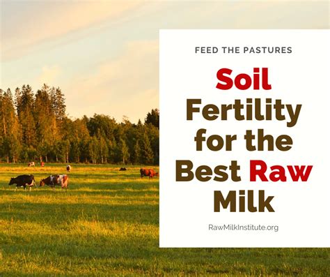 Soil Fertility And Pastures For High Quality Raw Milk — Raw Milk Institute