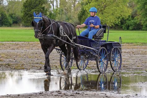 The National Drive: A Gathering for Horse Driving - Horse Illustrated