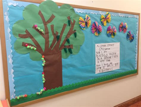 Butterfly Life Cycle Bulletin Board