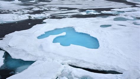 Der Tag Arktis Eisfläche noch weiter geschrumpft n tv de