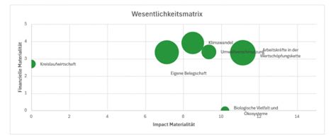 Wesentlichkeitsanalyse Beispiel zur Befüllung des Excel Template CSR