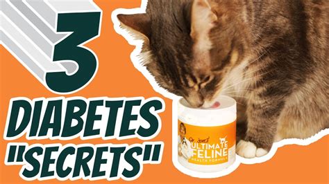 Diabetes In Cats Best Home Remedies Youtube