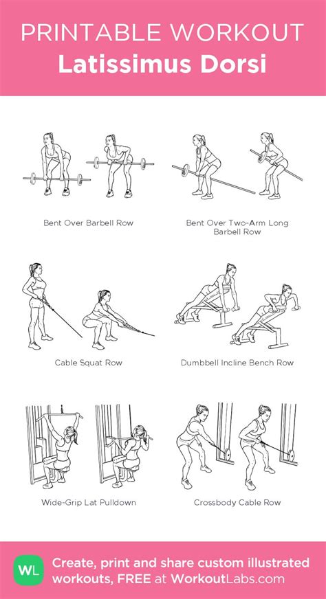 Latissimus Dorsi | Printable workouts, Workout plan, Latissimus dorsi