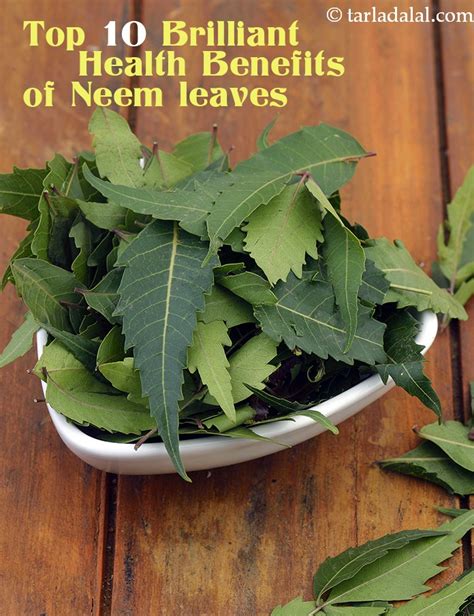 10 Brilliant Health Benefits Of Neem Leaves Nutritional 41 Off