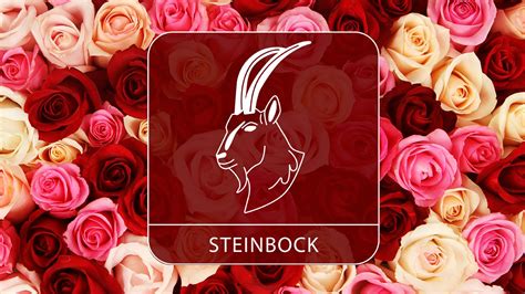 Das Valentinstags Horoskop 2024 für das Sternzeichen Steinbock Astrowoche