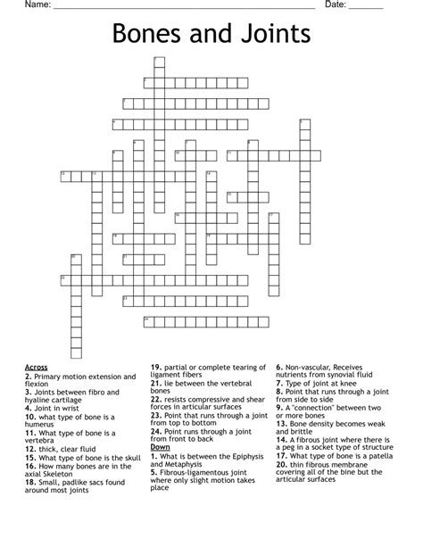 Skeletal And Muscular System Crossword Puzzle Answer Key