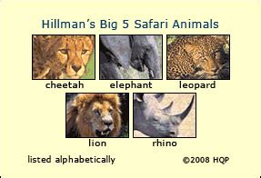 The Big 5 Safari animal list - By authority Howard Hillman