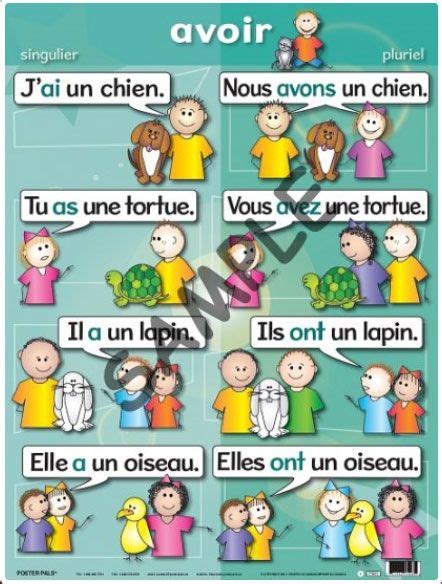 Avoir Singulier Pluriel Poster Carlex Online French Language