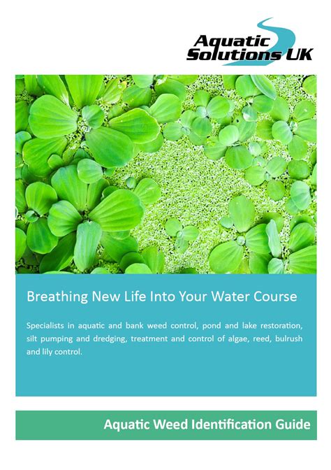 Aquatic Weed Identification Guide | Aquatic Solutions