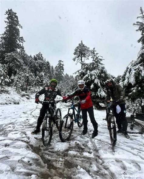 Angelitos En La Nieve El Ajusco Y El Desierto De Los Leones Se Ven