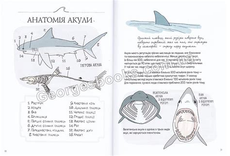 Книга для детей "Анатомія океану" автор Джулія Ротман, Купить книгу ...