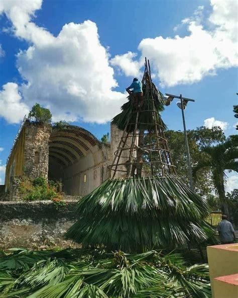 Colocan arbolito de navidad de palma de guano Sol Yucatán