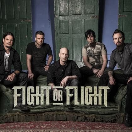 Fight Or Flight Lyrics Songs And Albums Genius