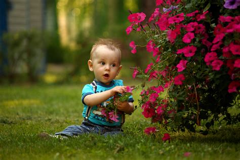 Free Images Grass Person People Plant Lawn Meadow Play Flower