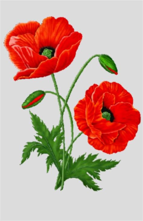 Pin By Marleen Meintjes On Art Poppies Verf Selfmaak In 2024