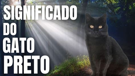 Descubriendo El Fascinante Significado Espiritual Del Gato Preto El