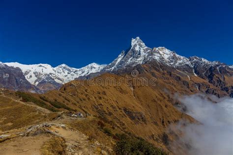 Machapuchare Oder Fischschwanz Heiliger Berg In Nepal Stockbild Bild