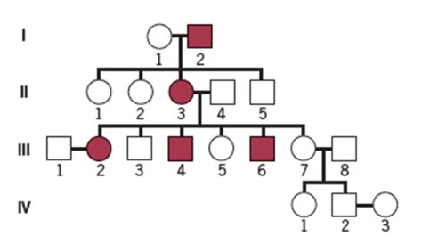 Solved Examine The Following Pedigree The Pink Trait Is Chegg