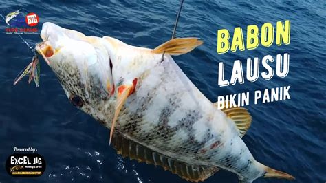 Ikan Lausu Babon Bikin Panik Ultra Light Jigging G Youtube