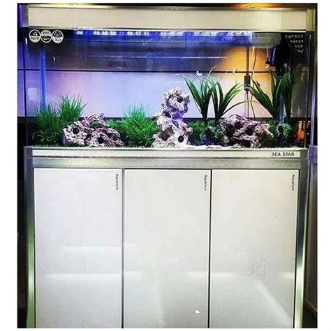 Glass Imported Fish Aquarium Size 4Lx1 5Wx2Hfeet At Rs 25000 Piece In