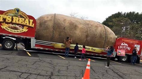 World's largest manufactured potato spotted in CT - Arizona's Family