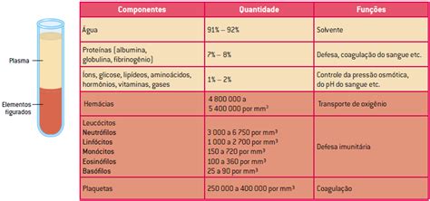 Composição Sanguínea - Os componentes do sangue - Cola da Web