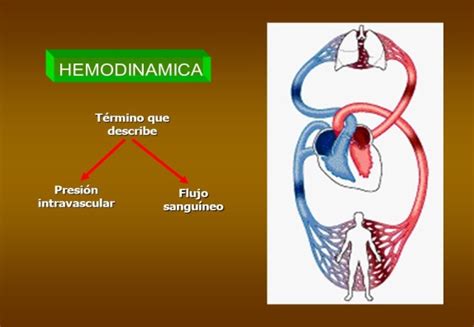 Sistemas Biofisicos Mecanicos Hemodinámica Presión En El Sistema