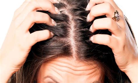 Cabelo Misto Dicas Para Raiz Oleosa E Pontas Secas