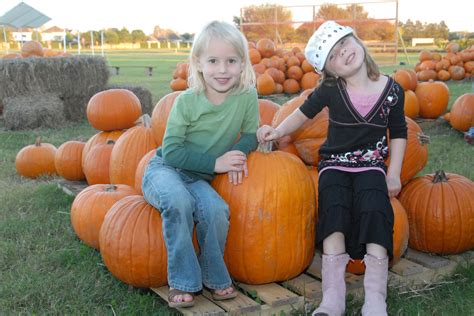 Pumpkin Patch Field Trip Great Idea For Fall Preschool Field Trip Pumpkin Patch Holiday