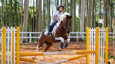 Cavalo Árabe mostra sua funcionalidade na 2ª Etapa de Salto e Hipismo