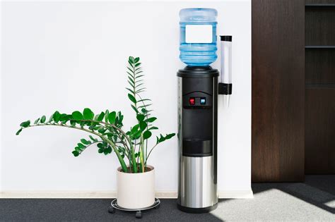 Maintaining a Clean Water Dispenser for Pure Hydration