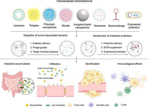 The Challenge And Opportunity Of Gut Microbiota‐targeted Nanomedicine