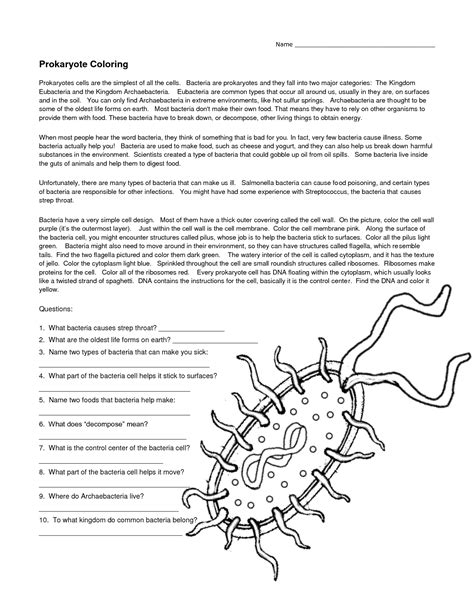 14 Best Images Of Viruses And Bacteria Worksheets Bacteria And