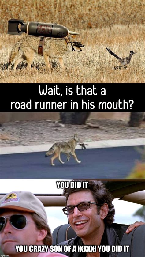 looney tunes memes gifs imgflip