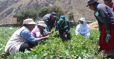 ¿por Qué Son Importantes Las Buenas Prácticas Agrícolas Y Pecuarias