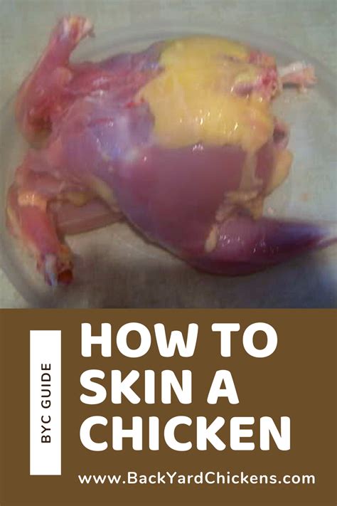 How To Skin A Chicken | Skin, Chicken, Chickens